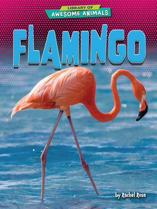 Title details for Flamingo by Rachel Rose - Available